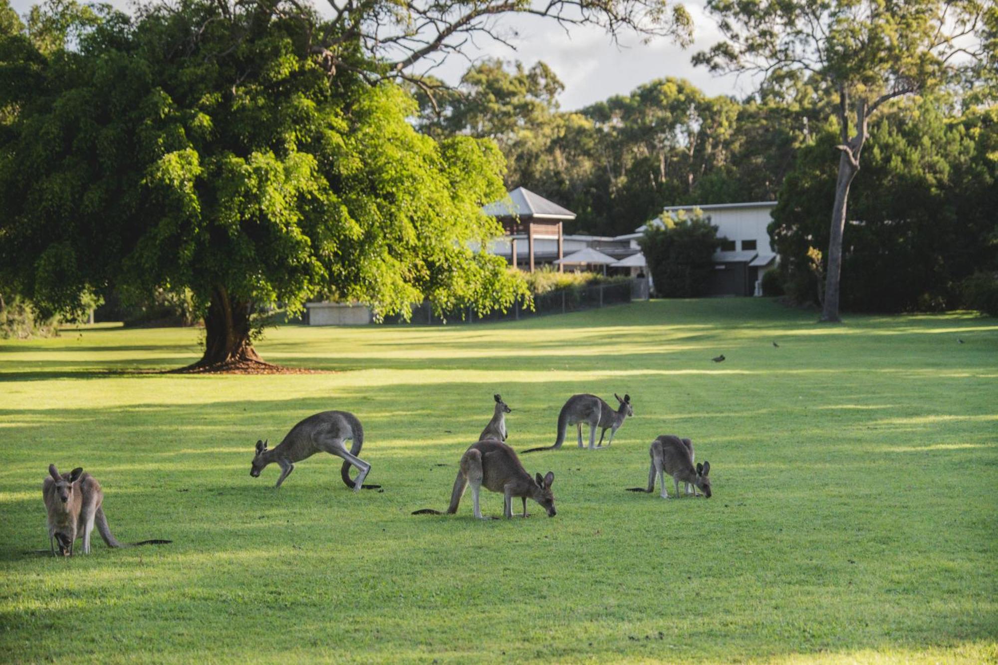 Beach Road Holiday Homes Noosa North Shore Luaran gambar